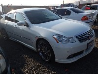 Nissan Fuga - 2005