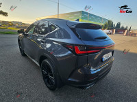 Lexus NX 300h - 2022