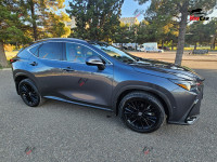 Lexus NX 300h - 2022