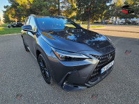 Lexus NX 300h - 2022