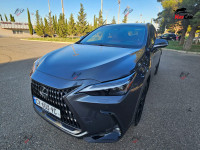 Lexus NX 300h - 2022